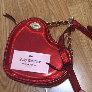 Juicy Couture Purse